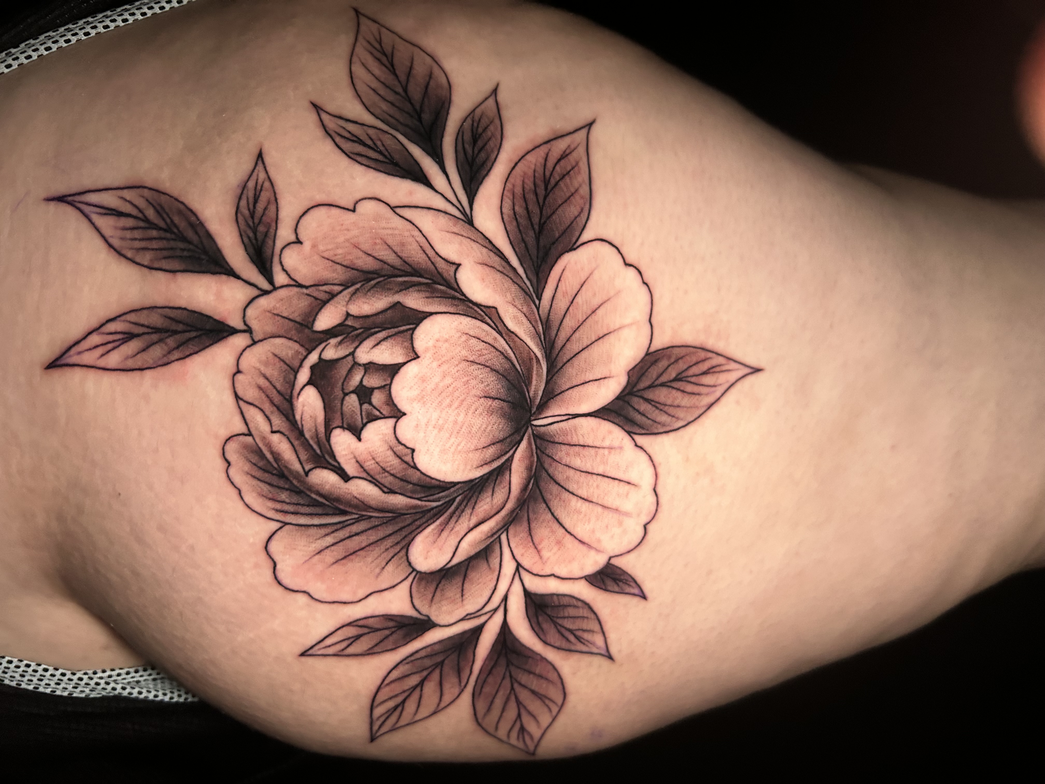 Peony Flower