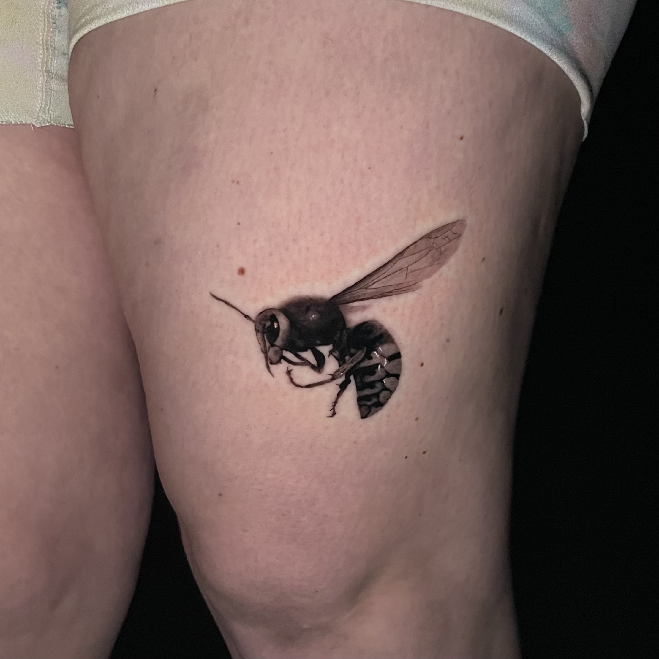Wasp