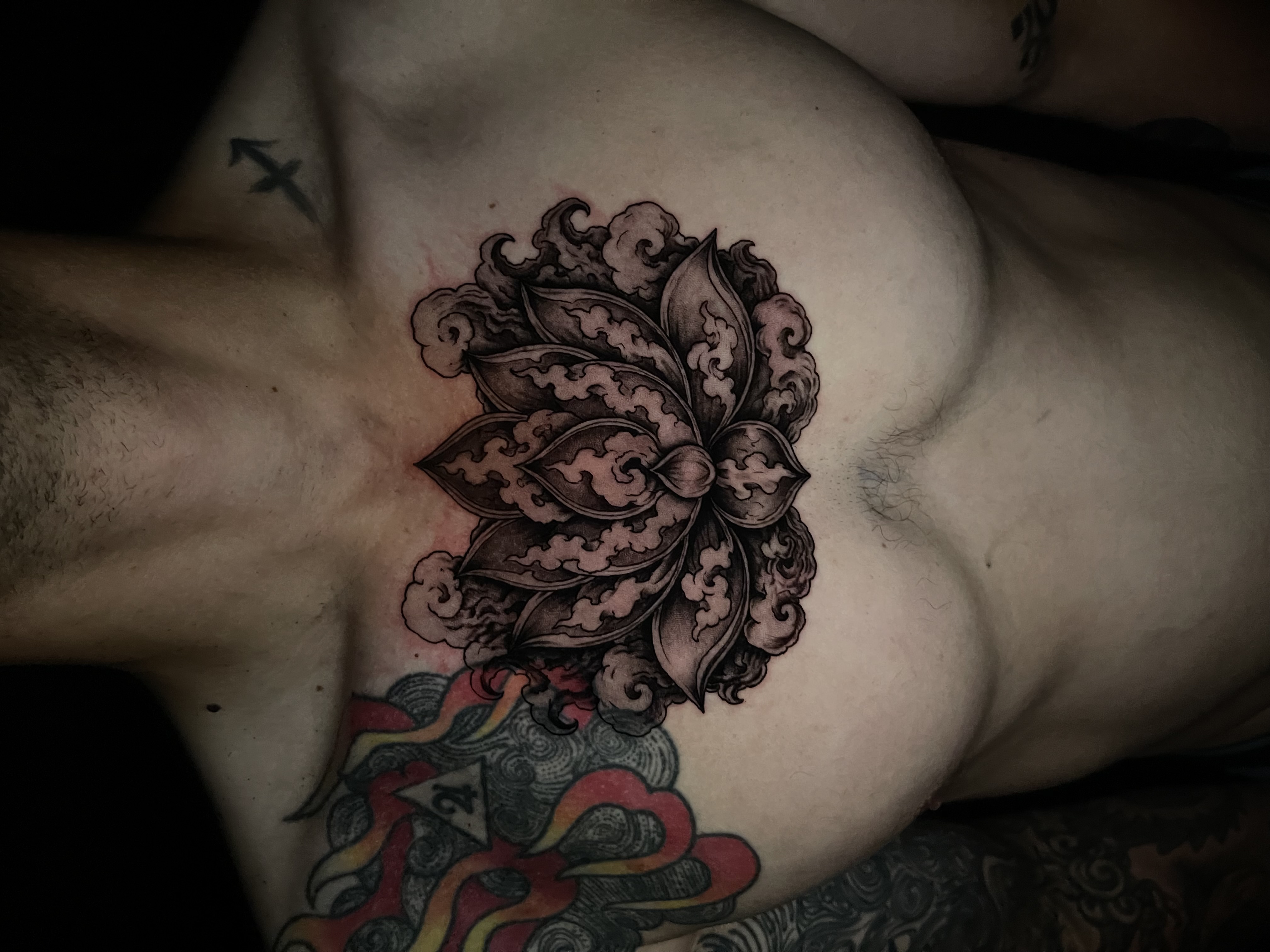 Lotus